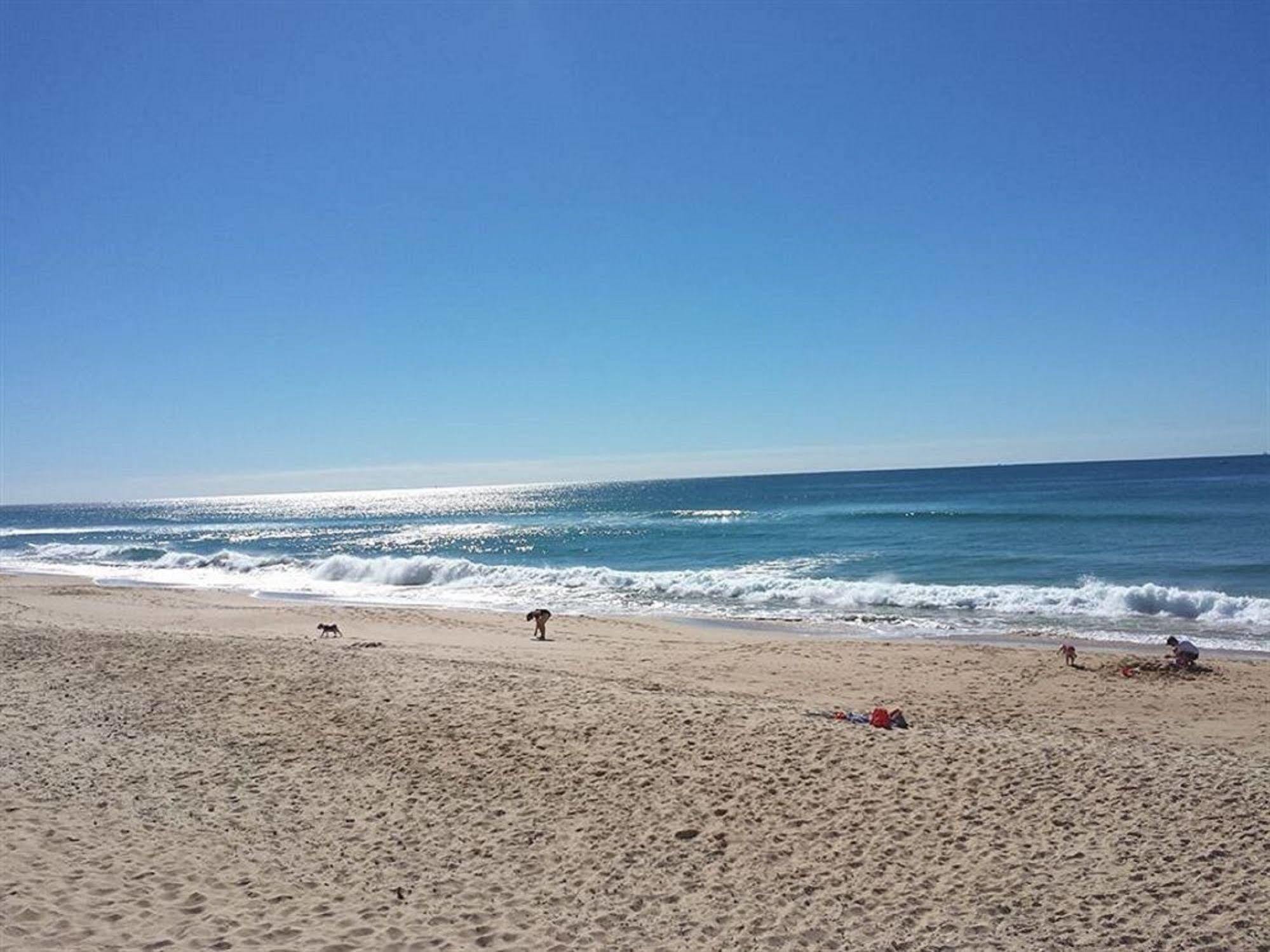 Surfside On The Beach Buddina Esterno foto